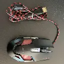 WhatsApp Image 2026-02-10 at 12.11.28 PM.webp